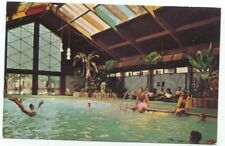 Minneapolis MN Curtis Hotel Tropical Pool Postcard Minnesota picture