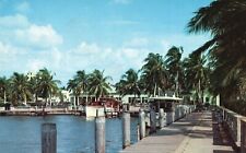 Postcard FL Fort Myers Palm Circled Yacht Basin Posted 1954 Vintage PC J3746 picture