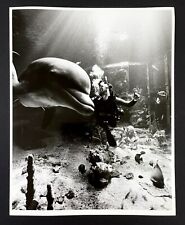 1986 Disney World Epcot Living Seas Diver Dolphin Experiments VTG Promo Photo  picture