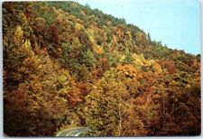 Autumn Colors, Little River Road in Great Smoky Mountains National Park - TN picture