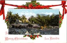 1916, MERRY CHRISTMAS from Florida Postcard picture