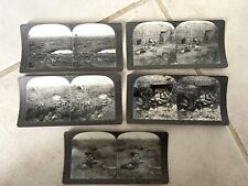Lot of 5 c1918 Post Mortem Soldier Remains Stereoview WW1 Deceased Soldiers EX picture