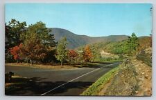 Skyline Drive Shenandoah National Park Woodstock Virginia Vintage Postcard picture
