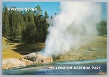 National & State Park~Yellowstone~Riverside Geyser~Continental Postcard picture