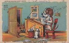 1940's You're So Dog Gone Slow To Write Anthropomorphic Dog Linen Postcard Used picture