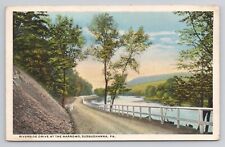 Postcard Riverside Drive At The Narrows Susquehanna Pennsylvania 1917 picture