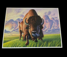 Celestial Seasonings - MORNING THUNDER TEA - chrome postcard Buffalo picture