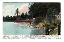 Postcard: Pine Island, Manchester, NH - Lake Front - Postmark 1907 picture