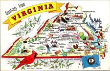 Vintage Greetings From Virginia Map State Bird Flag Postcard Posted 1971 picture
