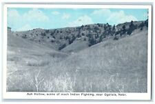 c1960's Ash Hollow Scene Of Much Indian Fighting Ogallala Nebraska NE Postcard picture