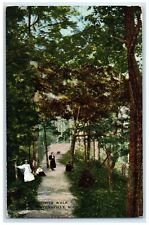 c1910's View Of Favorite Walk Stevensville Michigan MI Posted Antique Postcard picture