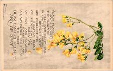 Vintage Postcard- ACACIA FLOWER Early 1900s picture