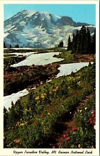 Ashford WA-Washington, Mt Rainier, Vintage Postcard picture