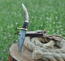 HANDMADE DAMASCUS STEEL SKINNING KNIFE STAG ANTLER HANDLE HUNTING CAMPING picture