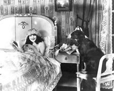 Heart of Romance 1918 June Caprice sits in bed with dog on chair 8x10 photo picture