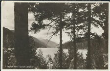 AZ-051 - Log Cabin, Fort Abercrombie State Park AK?, 1920's to 1930's Postcard picture
