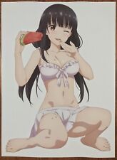 Double Sided Anime Poster: My Stepmom’s Daughter is My Ex, Chillin’ in my 30s  picture