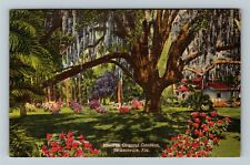 Jacksonville FL-Florida, The Oriental Gardens Vintage Souvenir Postcard picture