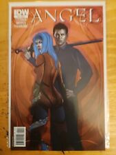 IDW PUBLISHING ANGEL #42 (2011) NM COMIC picture