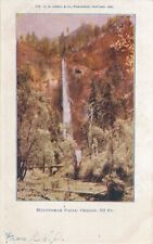 OREGON OR - Multnomah Falls Postcard - udb (pre 1908) picture