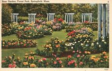 Vintage Postcard 1942 Rose Garden Forest Park Springfield Massachusetts TSNC Pub picture