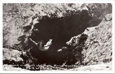 RPPC Mermaid at Mouth of Weeki Wachee Spring, Florida- 1950s Real Photo Postcard picture