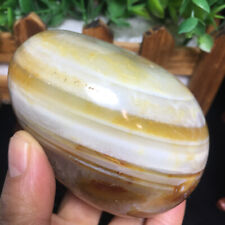 522g Bonsai Suiseki-Natural Gobi Agate Eyes Stone-Rare Stunning Viewing 71 picture