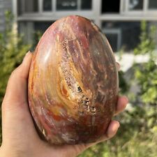 780g Natural Petrified WoodStone Freeform Polished Mineral Crystal Healing picture