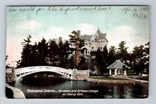 Thousand Islands NY-New York, Abraham & Strauss Cottage, Vintage c1907 Postcard picture