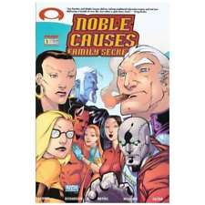 Noble Causes: Family Secrets #1 Cover B in Near Mint condition. Image comics [g& picture