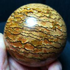 TOP 560G 74MM Natural Polished Wood Grain Stone Crystal Ball Healing  A1421 picture