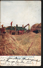 Old Postcard Canada Harvest Old Threshing Machine Steam Horse Drawn Carts 1909 picture