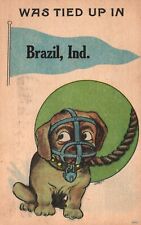 Brazil Indiana Humor Postcard 1918 Was Tied up in Brazil Ind Dog Posted picture