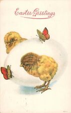 Easter 1910s Vintage Postcard Chicks Peeking Around Egg with Butterflies 800-12 picture