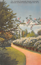 Chapel Hill NC Arboretum University Of North Carolina Linen Postcard picture