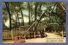 Postcard Humboldt Park Playgrounds Rustic Scene Chicago Illinois IL Posted 1917 picture