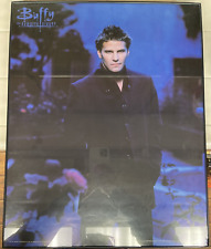 VTG 90s Buffy the Vampire Framed Poster David Boreanaz Angel 20 in. x 16 in. picture