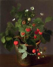 Dream-art Oil painting Otto-Didrik-Ottesen-Strawberries-in-a-Pot nice plants art picture