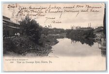 1905 View On Shenango River Bridge Sharon Pennsylvania PA Rotograph Postcard picture