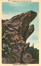 Postcard NC Blowing Rock Western North Carolina Linen Unposted Vintage PC H3856 picture