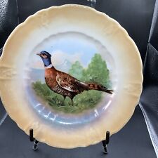 Vintage Luster  Pheasant China Plate picture