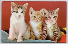 Postcard The Three Little Kittens Cute Cats picture