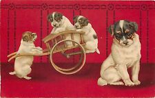 c1907 Embossed Dog Postcard 202 Terrier Type Pups Helena Maguire Red Wallpaper picture