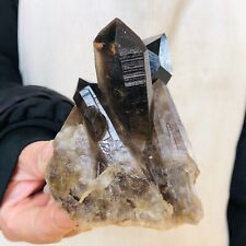 290g Natural Black Smokey Quartz Crystal Cluster Mineral specimen Healing K216 picture