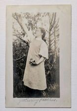RPPC Happy, Pretty Girl Gathering Peaches From Tree Vintage Postcard  picture