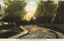 Melrose Avenue looking East, Knoxville, Tennessee TN - 1909 Vintage Postcard picture