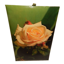 Jackson & Perkins - The Rose - Advertising Wall Hanging picture