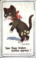 Injured Cat Comic Bandages Donald McGill WWI Field Censor Cancel c1915 Postcard picture