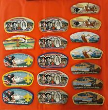 Montana Council CSP BSA lot of 17 picture