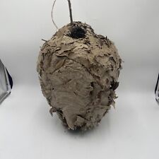 Large Natural Paper Wasp Bee Hornet Hive Nest 16